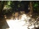 1/16 Queen Street, Stuart Park NT 0820