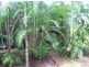 4/2 Kurringal Court, Fannie Bay NT 0820