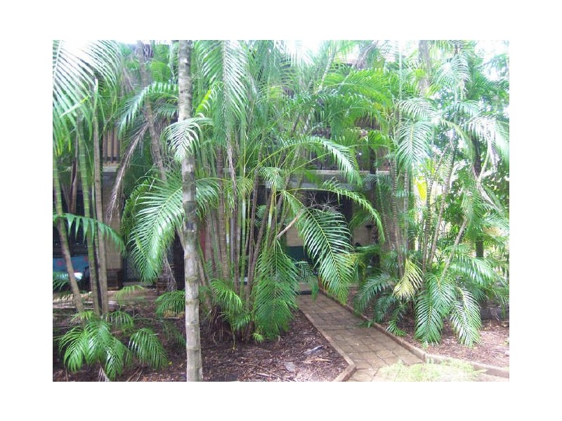 4/2 Kurringal Court, Fannie Bay NT 0820