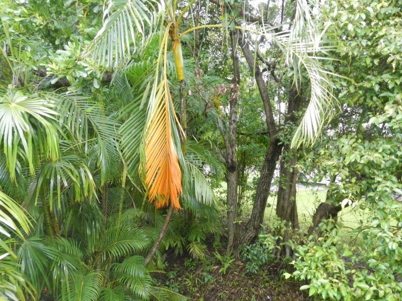 24/23 Hudson Fysh, Parap NT 0820