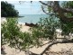 Lot 20 Hundred of Bray, Wagait Beach NT 0822