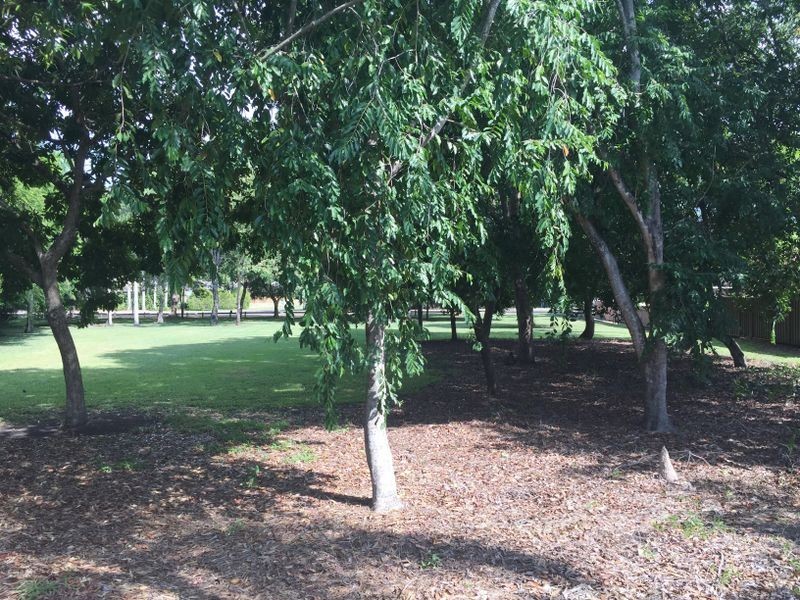 4/3 Hope Court, Leanyer NT 0812