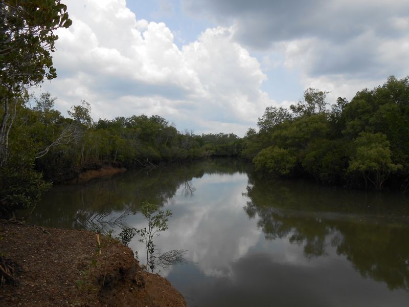 430 Barramundi Drive, Wagait Beach NT 0822