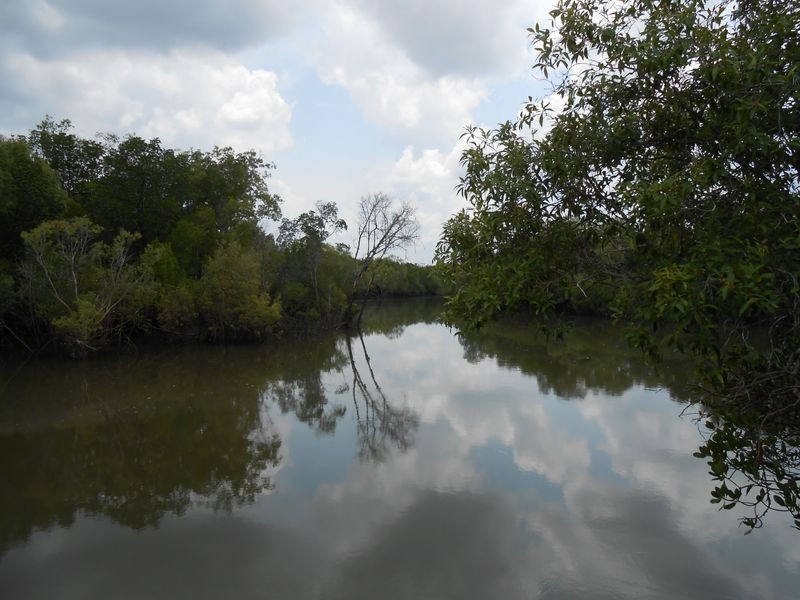 430 Barramundi Drive, Wagait Beach NT 0822