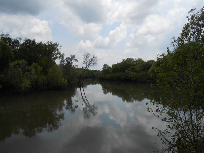 430 Barramundi Drive, Wagait Beach NT 0822