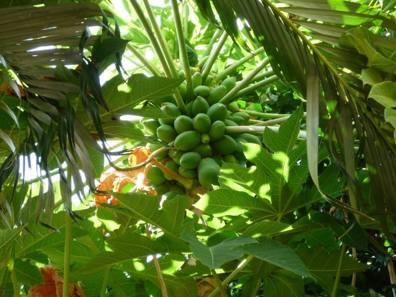 47/14 Salonika Street, Parap NT 0820