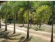 Lot 4 Horsnell Road, Noonamah NT 0837