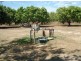 Lot 4 Horsnell Road, Noonamah NT 0837