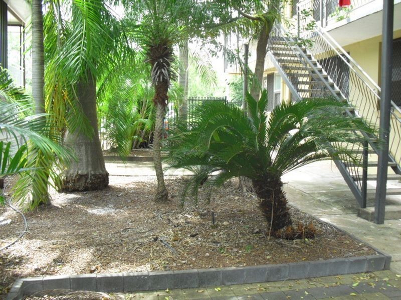 2/165 Bagot Road, Ludmilla NT 0820