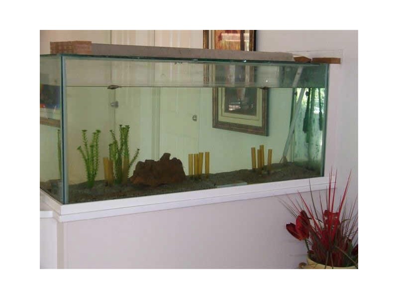 34 Stoddart Drive, Bayview NT 0820