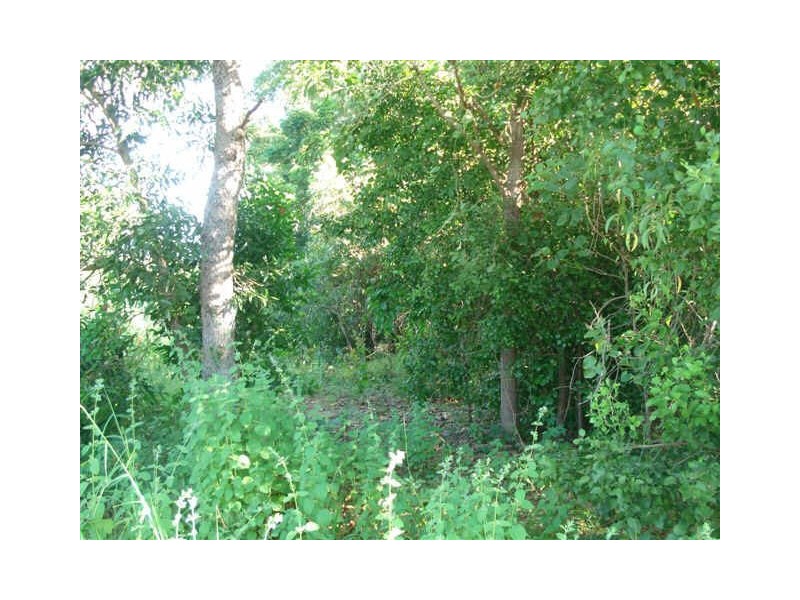 87 Andreas Avenue, Dundee Beach NT 0840