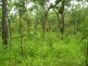 930 Chinner Road, Lake Bennett NT 0822
