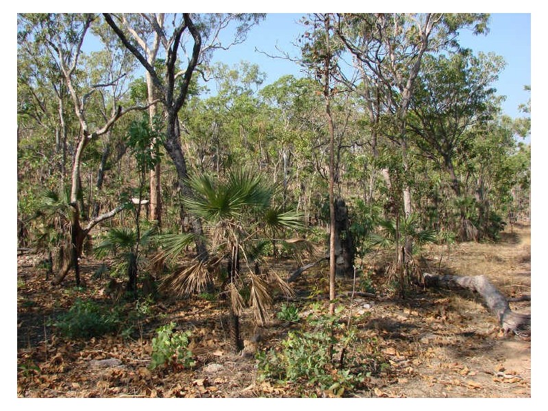 930 Chinner Road, Lake Bennett NT 0822