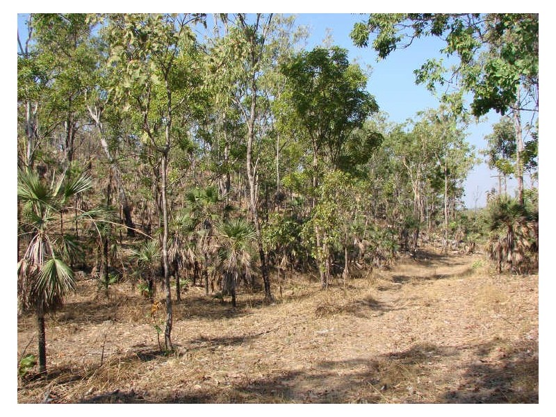 930 Chinner Road, Lake Bennett NT 0822