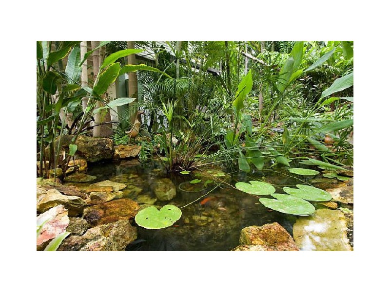 4 Ferntree Street, Nightcliff NT 0810