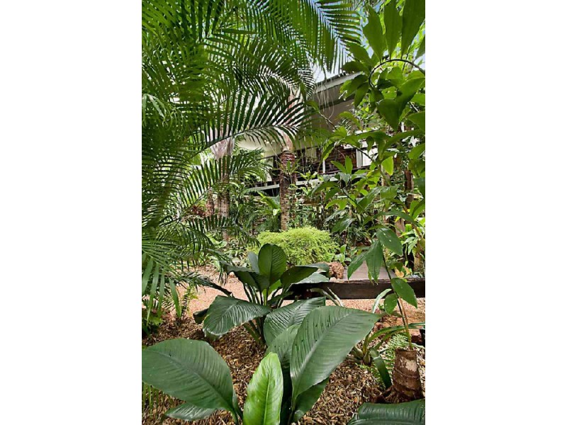4 Ferntree Street, Nightcliff NT 0810