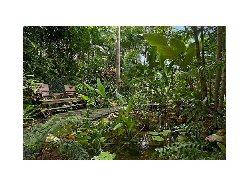 4 Ferntree Street, Nightcliff NT 0810