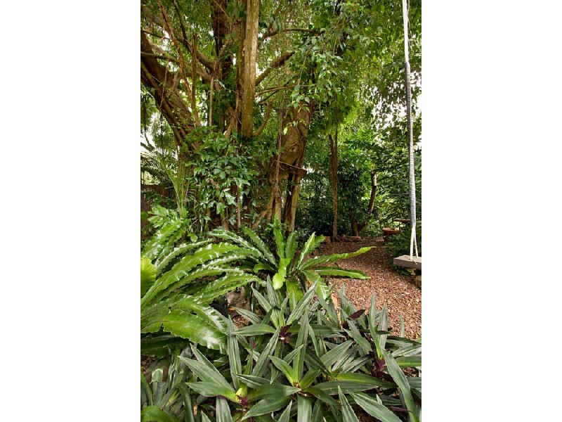 4 Ferntree Street, Nightcliff NT 0810