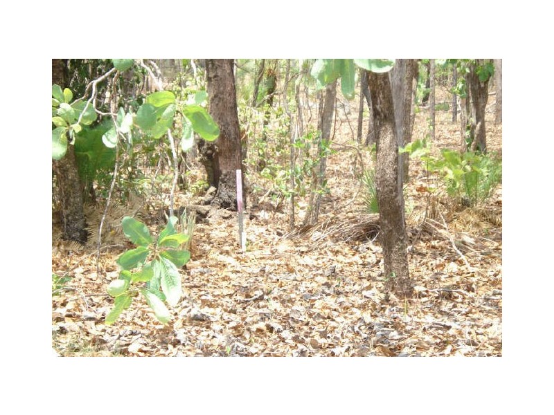 49 Brisbane Street, Wagait Beach NT 0822