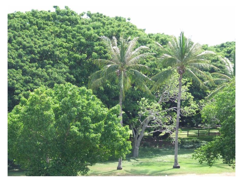 11/102 McMinn Street, Darwin NT 0800