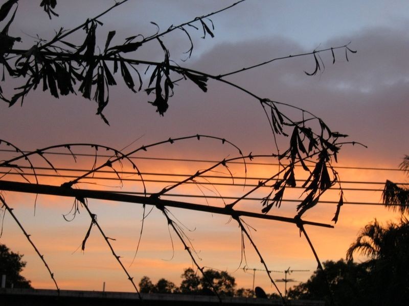 4/13 Nation Crescent, Coconut Grove NT 0810