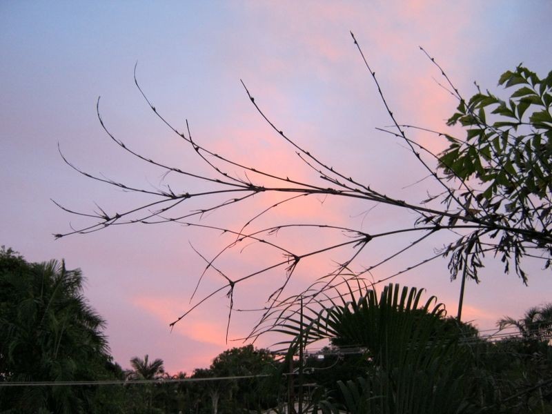 4/13 Nation Crescent, Coconut Grove NT 0810