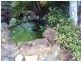 249 McMillans Road, Moil NT 0810