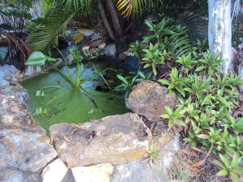 249 McMillans Road, Moil NT 0810