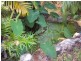 249 McMillans Road, Moil NT 0810