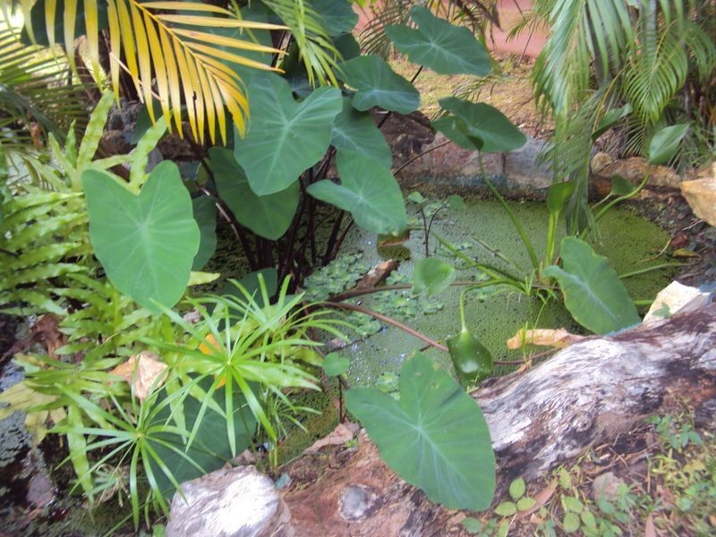 249 McMillans Road, Moil NT 0810