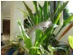 6/14 Salonika Street, Parap NT 0820