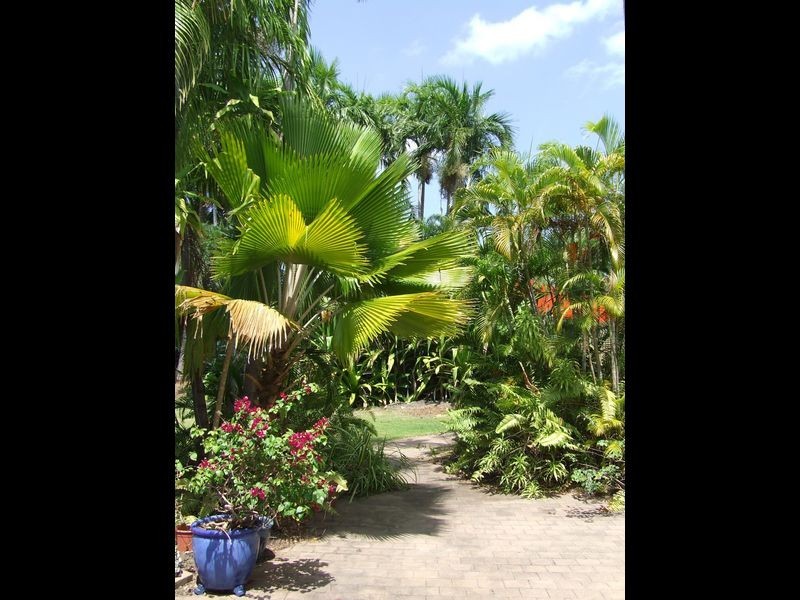 4 Berry Place, Millner NT 0810