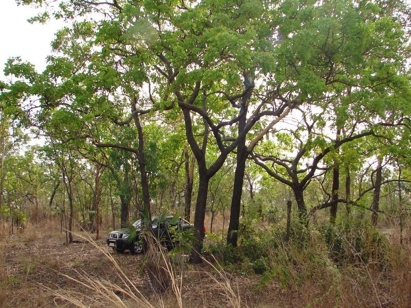 40 Colton Road, Acacia Hills NT 0822