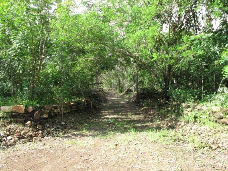 14 Sachse Street, Wagait Beach NT 0822