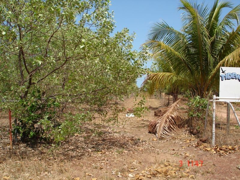 299 Mermaid Circuit, Dundee Beach NT 0840