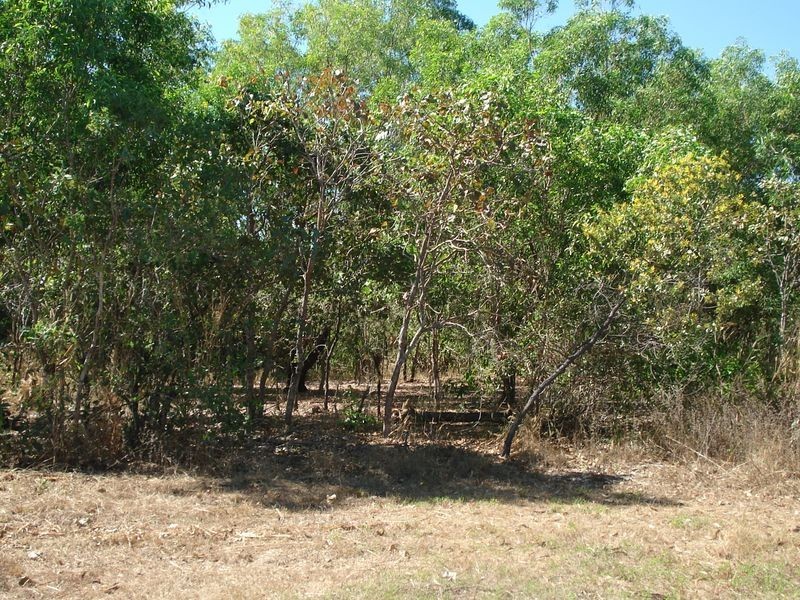372 Mermaid Circuit, Dundee Beach NT 0840