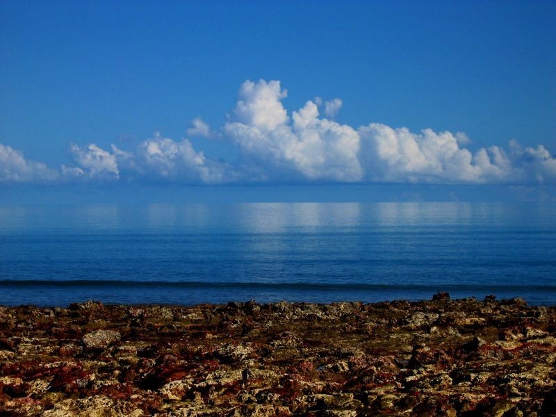 124 Baluria Rd., Wagait Beach NT 0822