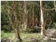 21 De Lissa Drive, Wagait Beach NT 0822