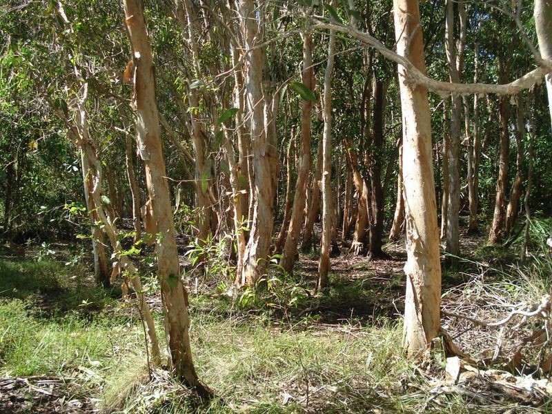 21 De Lissa Drive, Wagait Beach NT 0822