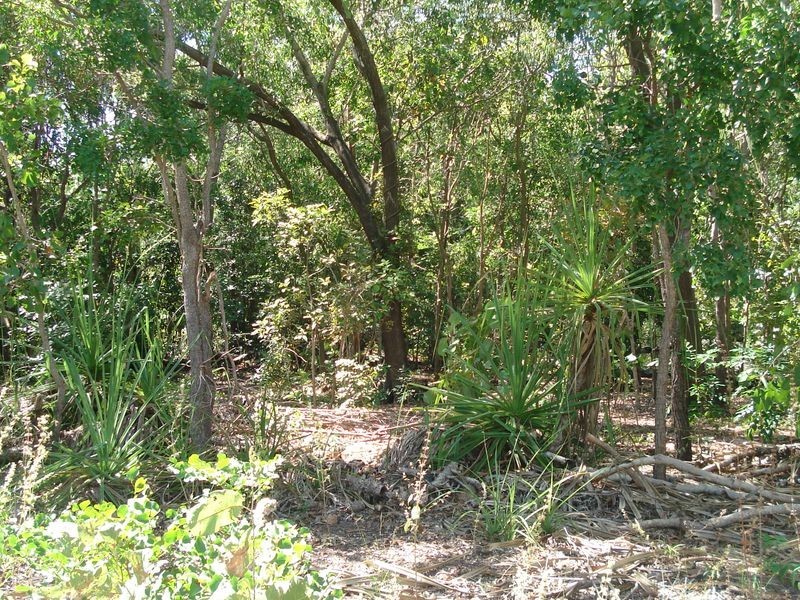 21 De Lissa Drive, Wagait Beach NT 0822