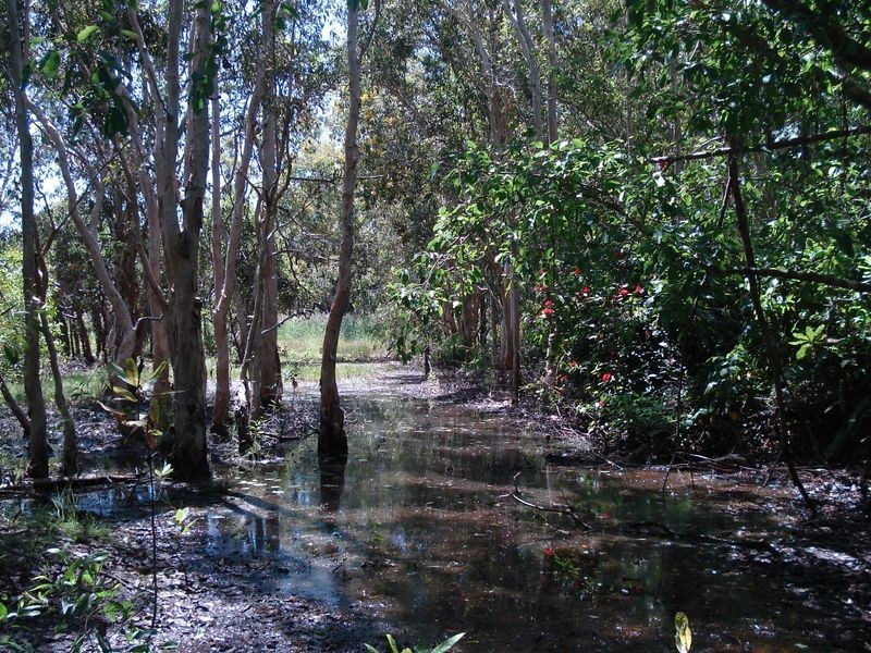 21 De Lissa Drive, Wagait Beach NT 0822