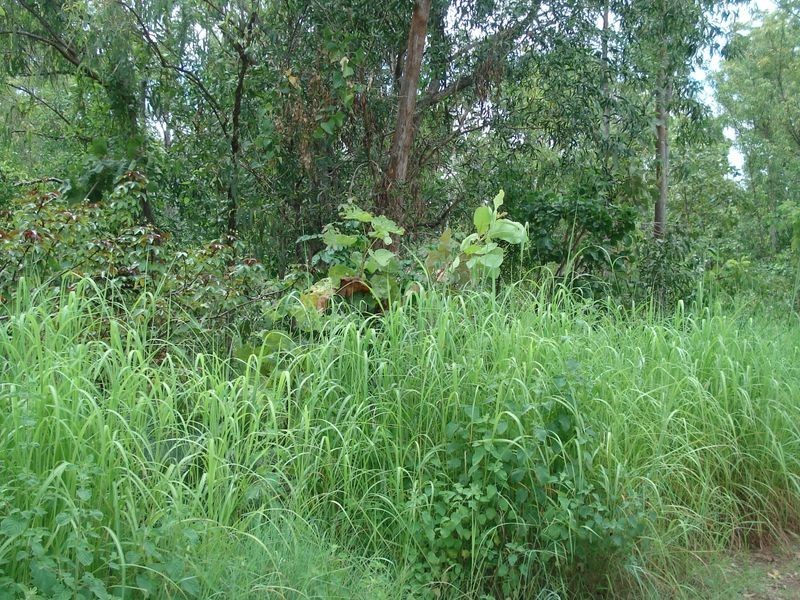 15 Head Court, Wagait Beach NT 0822