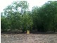 31 McAulay, Bees Creek NT 0822