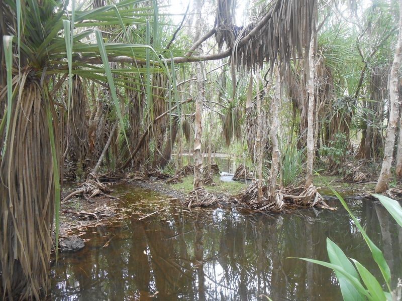 58 Gulnare Road, Bees Creek NT 0822