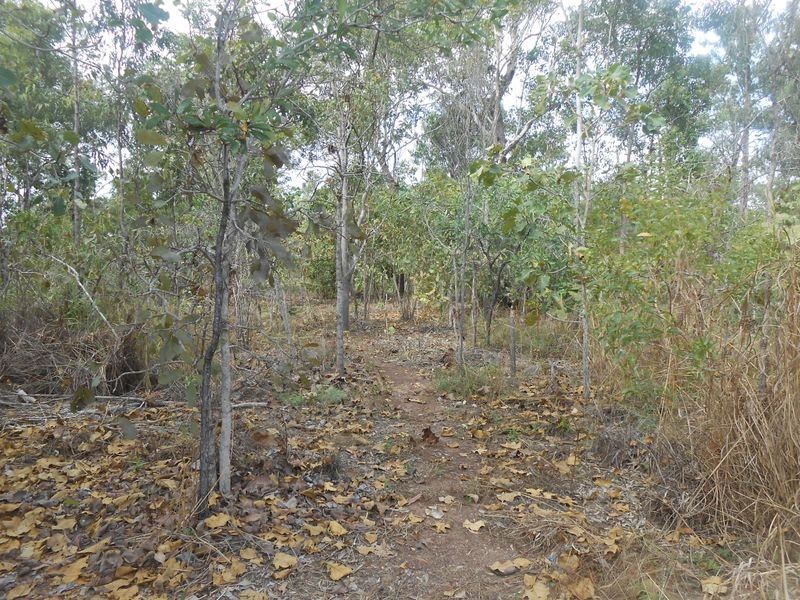 17 Baluria Road, Wagait Beach NT 0822