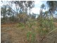 215 Koonakurra Road, Dundee Beach NT 0840