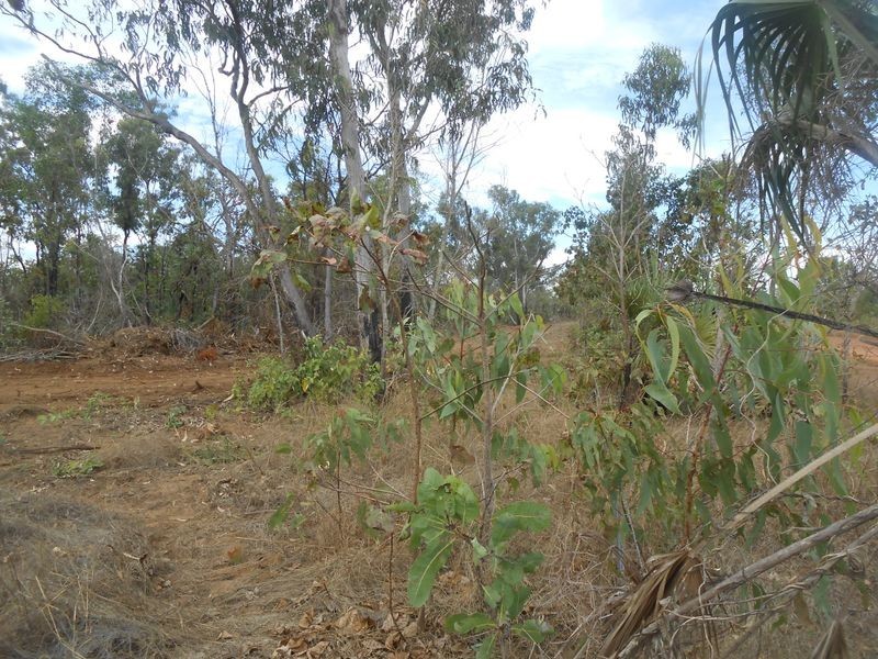 215 Koonakurra Road, Dundee Beach NT 0840
