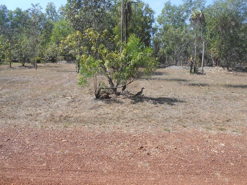 215 Koonakurra Road, Dundee Beach NT 0840