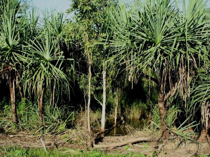 4 Latram Court, Gunn NT 0832