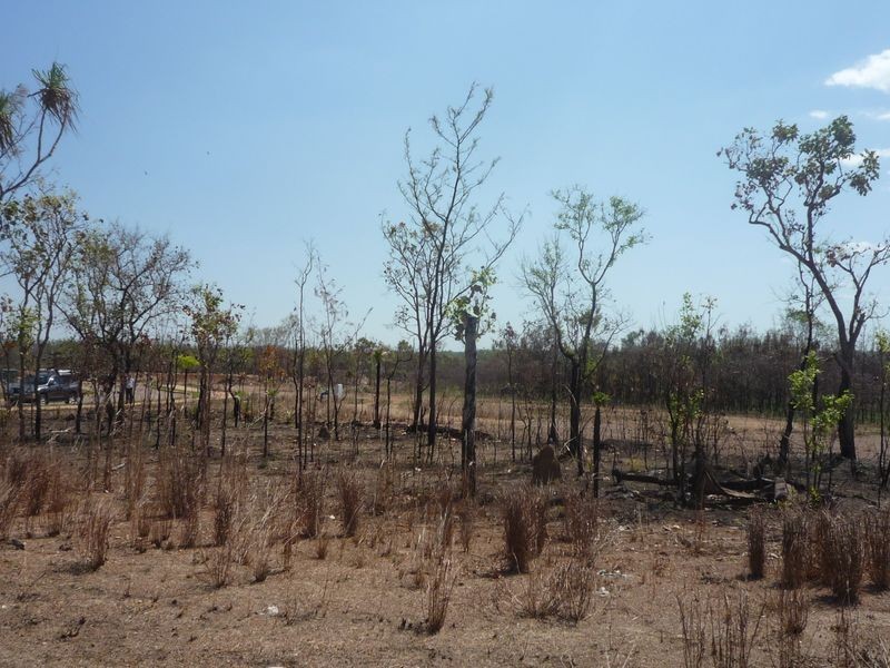 2 Tarakan Court, Johnston NT 0832